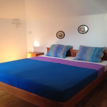 Gala Homestay *
